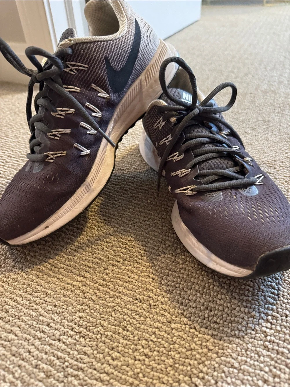Nike Zoom Pegasus 33